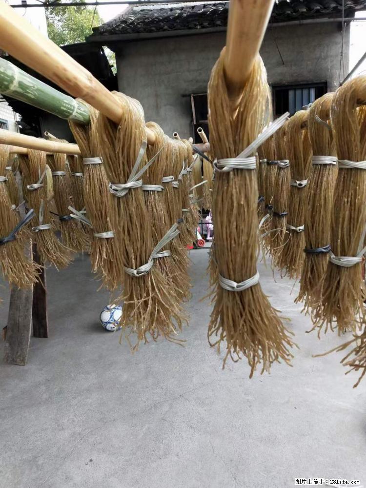 【灌阳正宗红薯粉】美女家里自己做的，干净卫生，假一赔十，价格合理，抢购电话：13737312895 - 美食天地 - 天水生活社区 - 天水28生活网 tianshui.28life.net