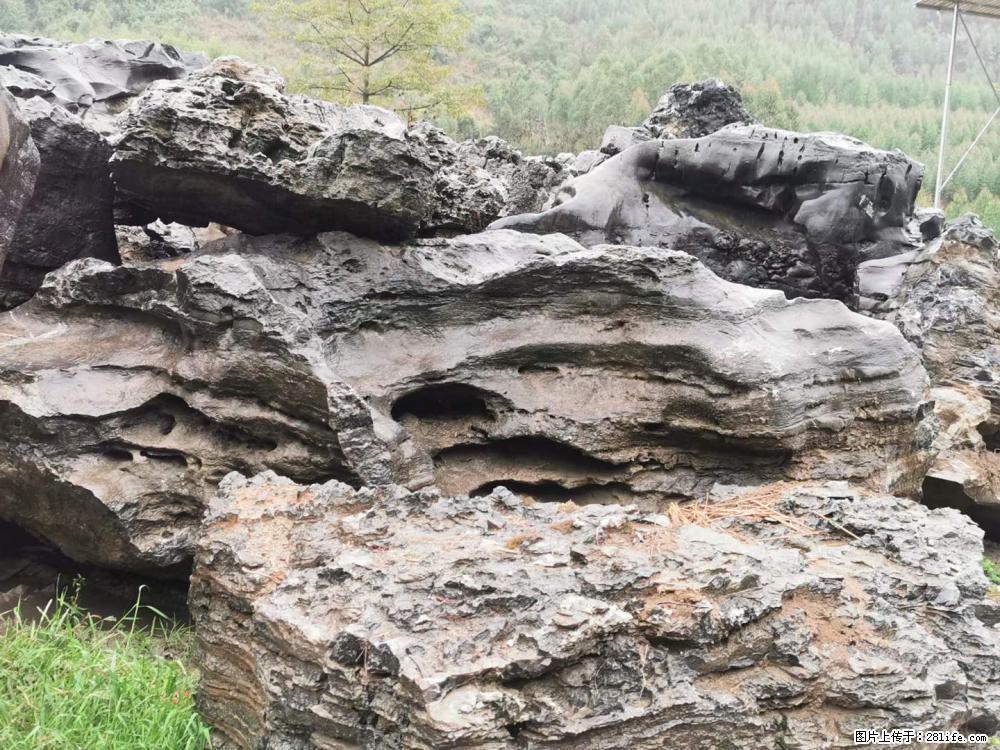 风景石、假山石大量有货，有需要的欢迎联系 - 新手上路 - 天水生活社区 - 天水28生活网 tianshui.28life.net