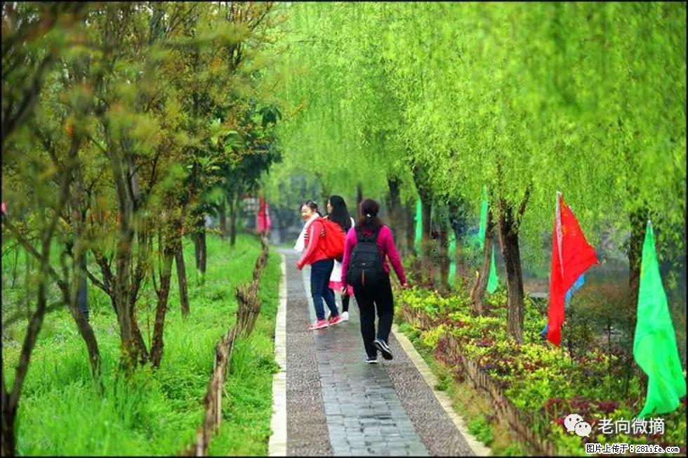 【春天，广西桂林灌阳县向您发出邀请！】江口老街又逢春 - 游山玩水 - 天水生活社区 - 天水28生活网 tianshui.28life.net