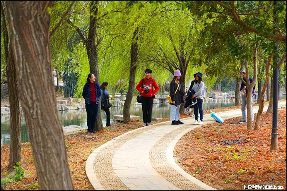 【春天，广西桂林灌阳县向您发出邀请！】江口老街又逢春 - 游山玩水 - 天水生活社区 - 天水28生活网 tianshui.28life.net
