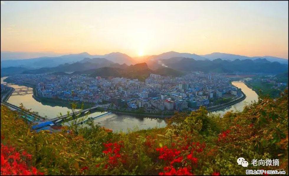 【春天，广西桂林灌阳县向您发出邀请！】登麒麟山，相约映山红 - 游山玩水 - 天水生活社区 - 天水28生活网 tianshui.28life.net