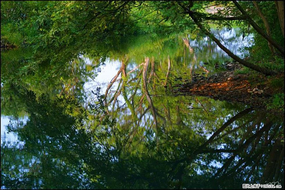 【春天，广西桂林灌阳县向您发出邀请！】熊家寨湿地公园 - 游山玩水 - 天水生活社区 - 天水28生活网 tianshui.28life.net