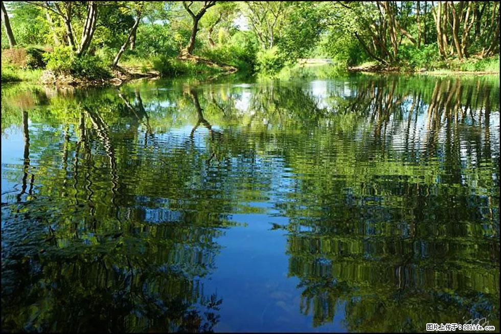 【春天，广西桂林灌阳县向您发出邀请！】熊家寨湿地公园 - 游山玩水 - 天水生活社区 - 天水28生活网 tianshui.28life.net