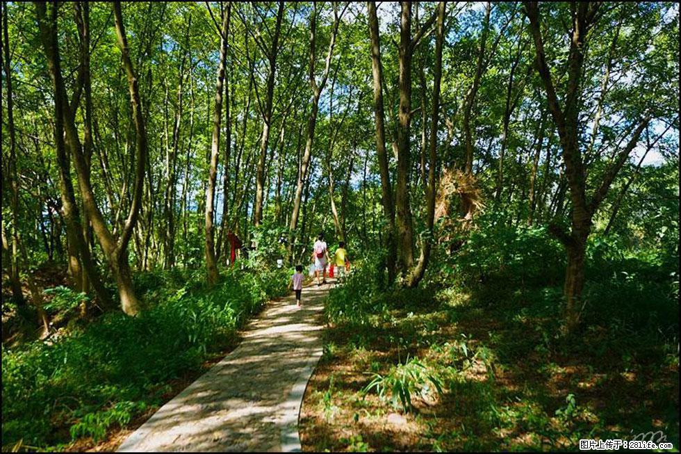 【春天，广西桂林灌阳县向您发出邀请！】熊家寨湿地公园 - 游山玩水 - 天水生活社区 - 天水28生活网 tianshui.28life.net