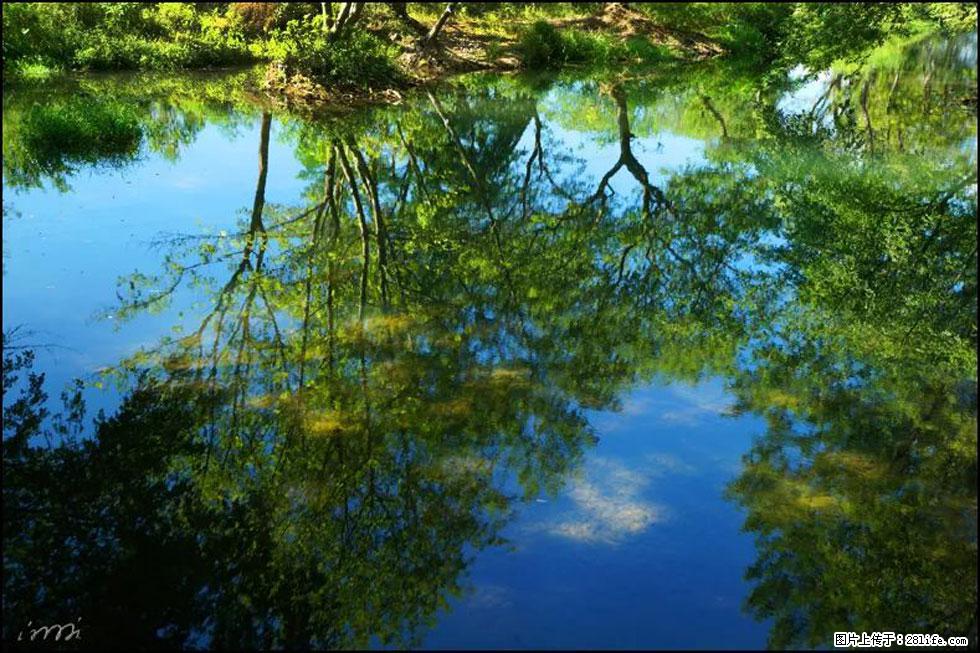 【春天，广西桂林灌阳县向您发出邀请！】熊家寨湿地公园 - 游山玩水 - 天水生活社区 - 天水28生活网 tianshui.28life.net