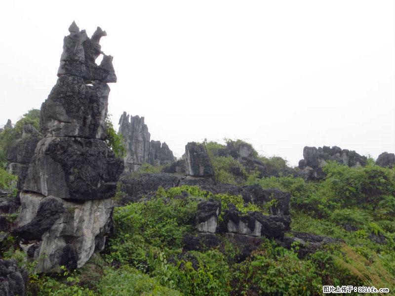 桂林旅游名城景点:灌阳文市石林 - 游山玩水 - 天水生活社区 - 天水28生活网 tianshui.28life.net