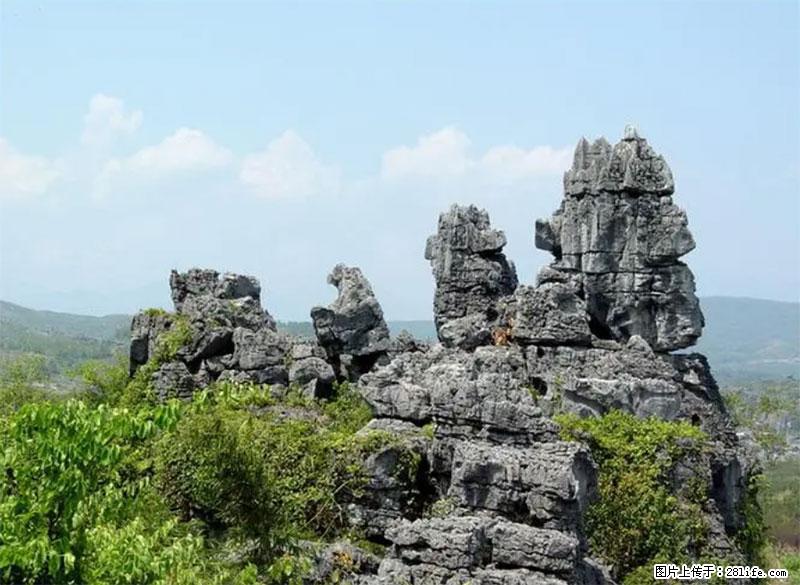 桂林旅游名城景点:灌阳文市石林 - 游山玩水 - 天水生活社区 - 天水28生活网 tianshui.28life.net