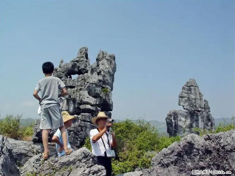 桂林旅游名城景点:灌阳文市石林 - 游山玩水 - 天水生活社区 - 天水28生活网 tianshui.28life.net