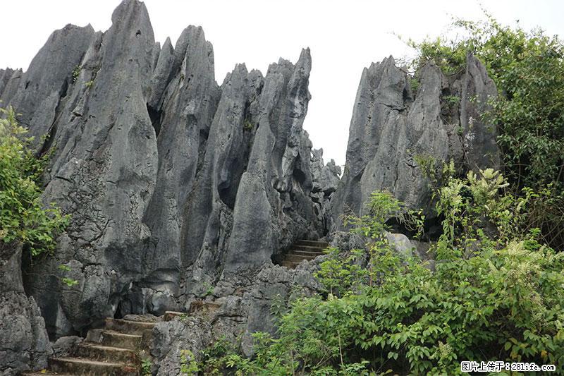 桂林旅游名城景点:灌阳文市石林 - 游山玩水 - 天水生活社区 - 天水28生活网 tianshui.28life.net