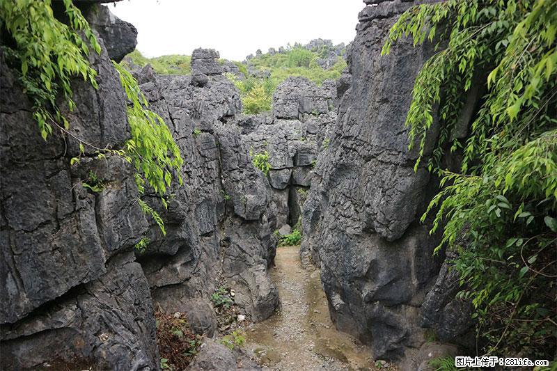 桂林旅游名城景点:灌阳文市石林 - 游山玩水 - 天水生活社区 - 天水28生活网 tianshui.28life.net