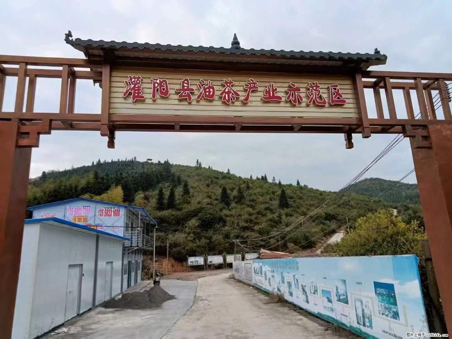 【灌阳县油茶产业示范区】一个有着充实的精神生活的人，对待身外之物自会有一种淡泊的态度 - 美食天地 - 天水生活社区 - 天水28生活网 tianshui.28life.net