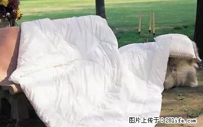 被子有异味？只要这样做，比晒太阳还强100倍！ - 家居生活 - 天水生活社区 - 天水28生活网 tianshui.28life.net