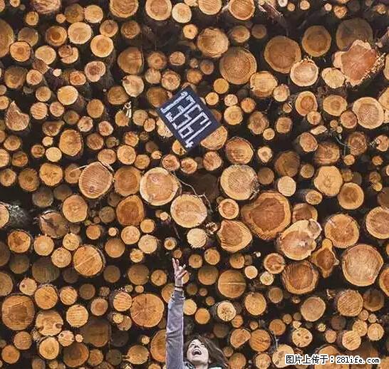 辞掉工作周游世界？现在他们在洗厕所…… - 游山玩水 - 天水生活社区 - 天水28生活网 tianshui.28life.net