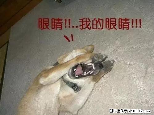 笑癫了！一女的怀孕三年未生，他终于忍不住了... - 娱乐八卦 - 天水生活社区 - 天水28生活网 tianshui.28life.net