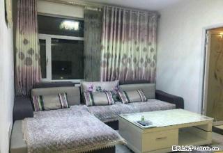 市中心地段，60平米，1室1厅1卫，精装修，拎包入住 - 天水28生活网 tianshui.28life.net