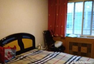 光明巷附近,有家具,有暖气 - 天水28生活网 tianshui.28life.net