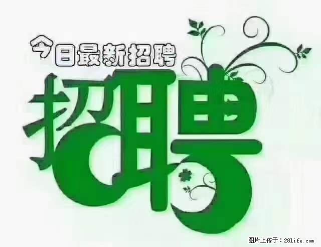 【招聘摄像师】待遇：试用期6000元/月，转正7000元/月+五险一金+餐补+节日福利+奖金 - 其他招聘信息 - 招聘求职 - 天水分类信息 - 天水28生活网 tianshui.28life.net