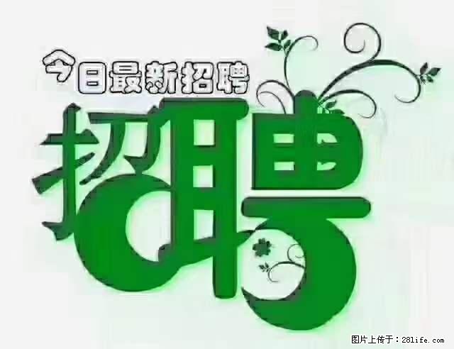 上海隔离酒店招人：55岁以下 男女不限 - 职场交流 - 天水生活社区 - 天水28生活网 tianshui.28life.net