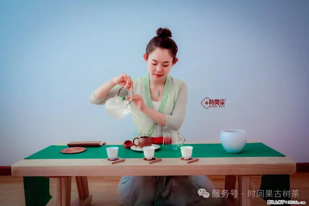 时间果百年古树龙珠普洱生茶 - 购物交流 - 天水生活社区 - 天水28生活网 tianshui.28life.net