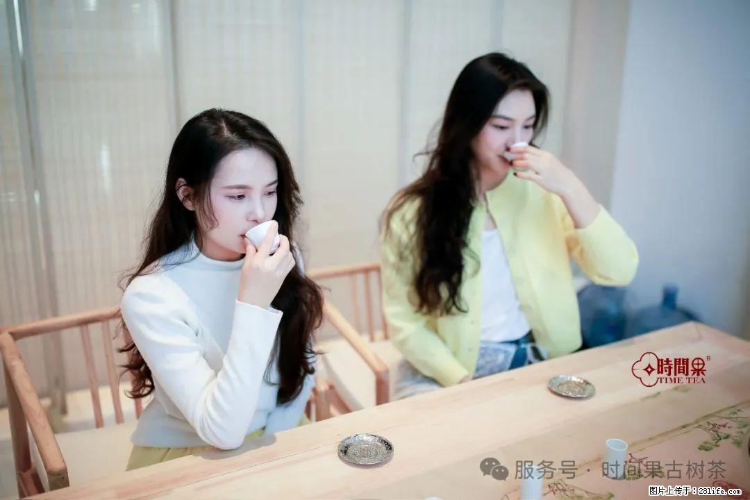 时间果百年古树龙珠普洱生茶 - 购物交流 - 天水生活社区 - 天水28生活网 tianshui.28life.net