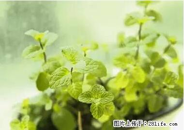 晕车、脚气、牙齿变黄、皮肤粗糙？学会这些三分钟搞定！ - 天水生活资讯 - 天水28生活网 tianshui.28life.net