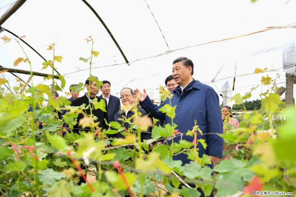 习近平赴广西考察调研 - 天水生活资讯 - 天水28生活网 tianshui.28life.net