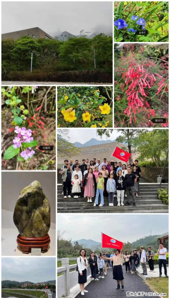 “粤灌文化 美好生活”油茶文化主题活动在广东深圳成功举办 - 天水生活资讯 - 天水28生活网 tianshui.28life.net