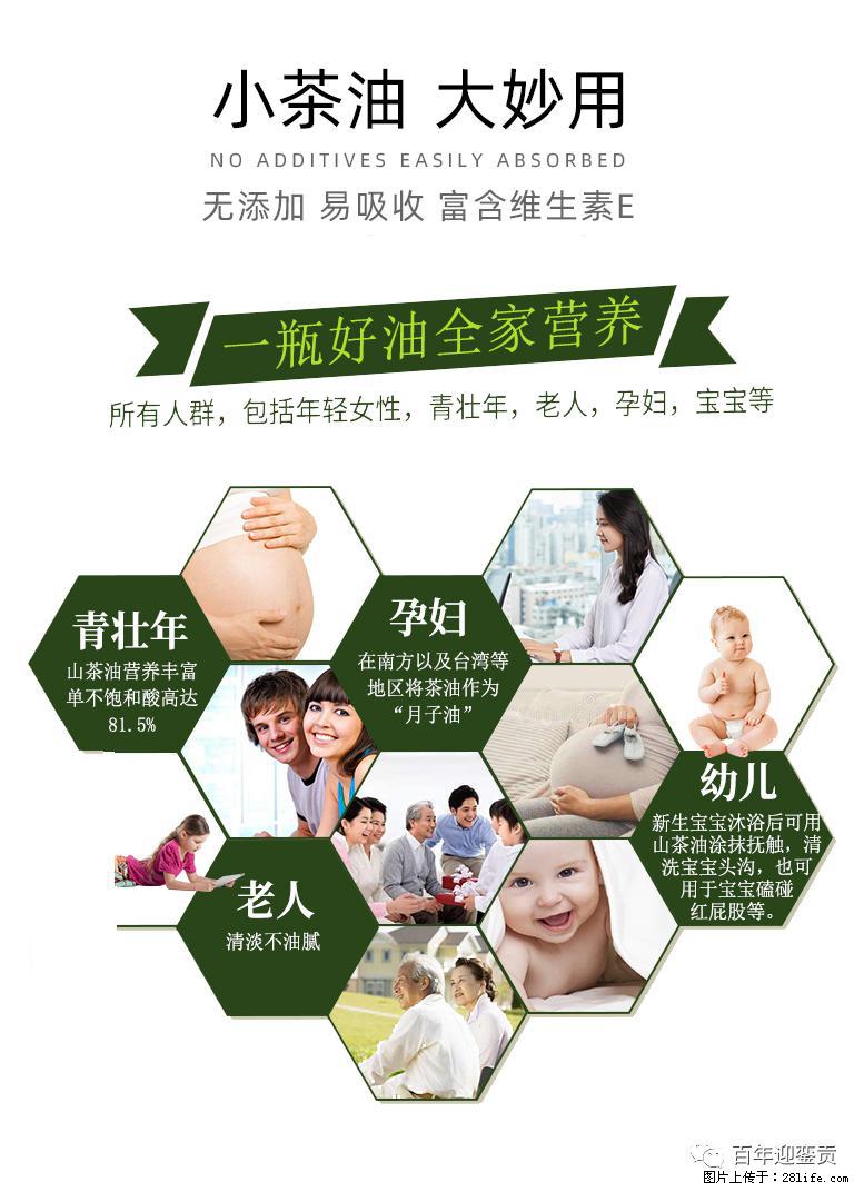 世界没有真相，只有认知，最好的食用油是中国的山茶油！ - 天水生活资讯 - 天水28生活网 tianshui.28life.net