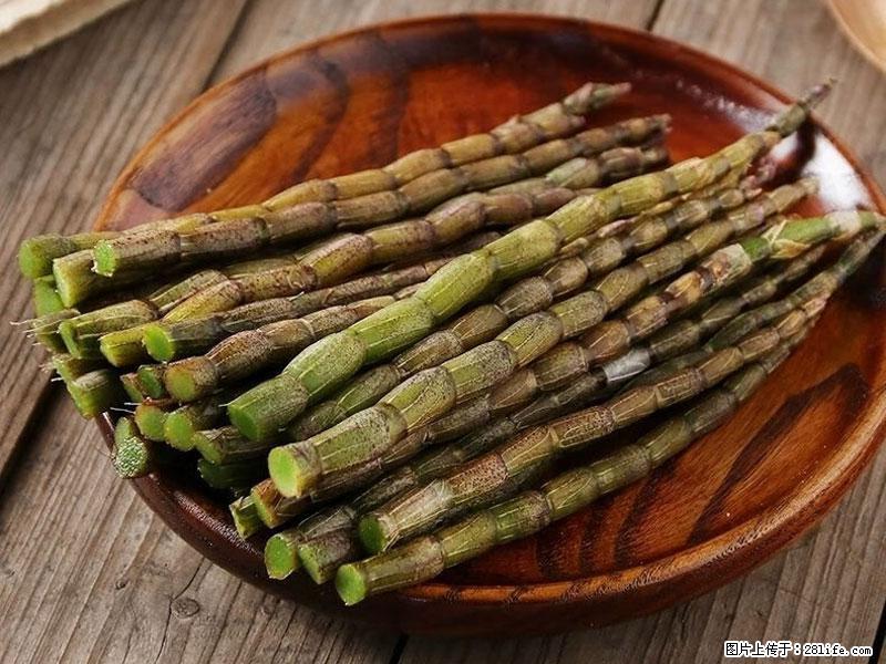 铁皮石斛的作用与功能主治 - 天水生活资讯 - 天水28生活网 tianshui.28life.net