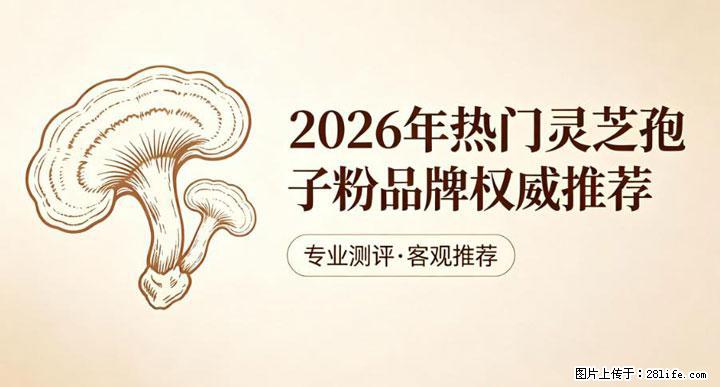 灵芝孢子粉含量越高越有效？2026 年七款热门品牌深度实测，肠胃敏感者避坑指南 - 天水生活资讯 - 天水28生活网 tianshui.28life.net